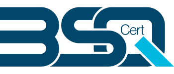 Logo-Bsq