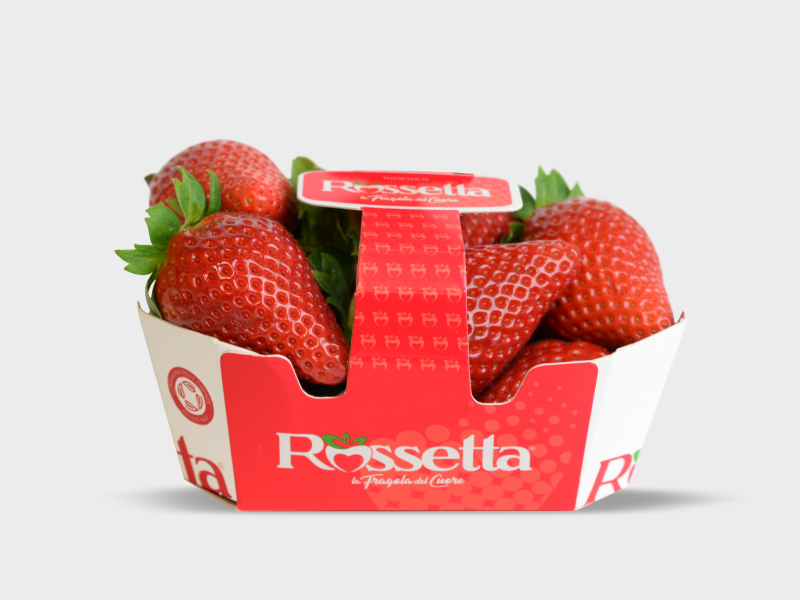 packaging-rossetta-a.png